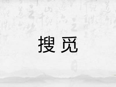 搜觅