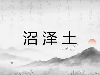 沼泽土