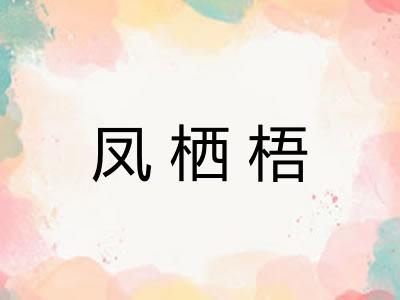 凤栖梧