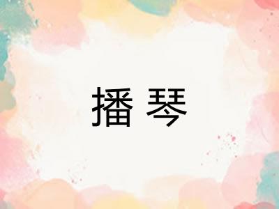 播琴