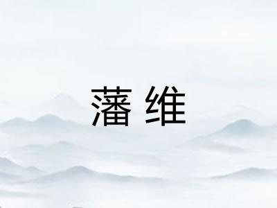 藩维