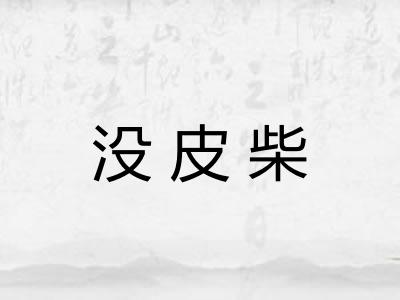 没皮柴
