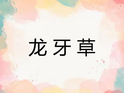 龙牙草