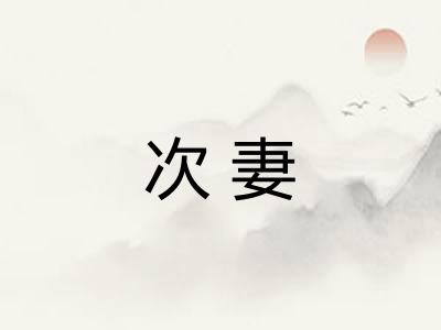 次妻