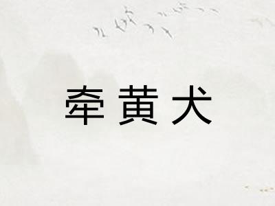 牵黄犬