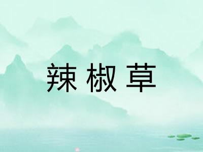 辣椒草