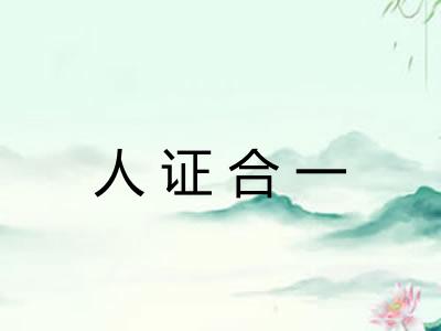 人证合一