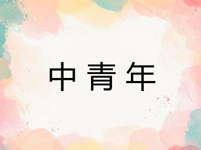 中青年
