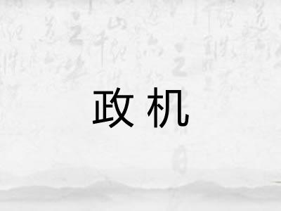 政机