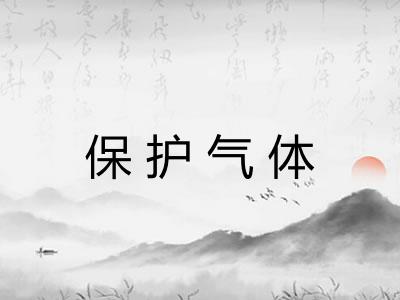 保护气体