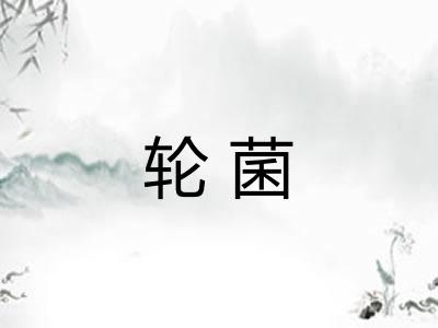 轮菌