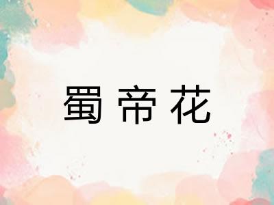 蜀帝花