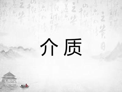 介质