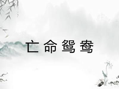 亡命鸳鸯