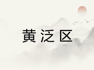 黄泛区
