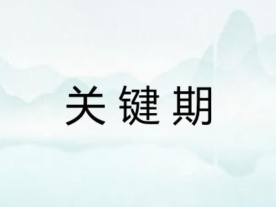 关键期