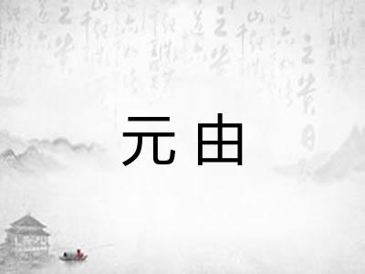 元由