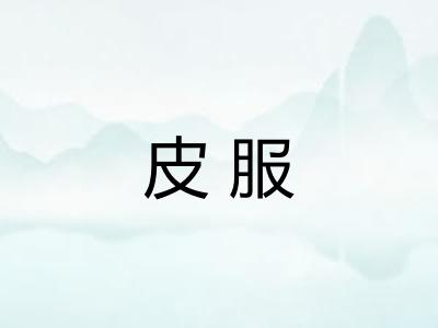 皮服
