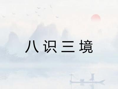 八识三境