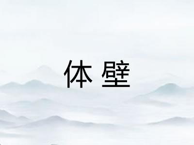 体壁