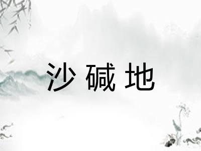 沙碱地