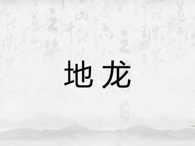 地龙