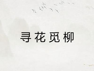 寻花觅柳