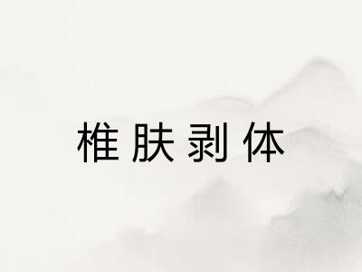 椎肤剥体