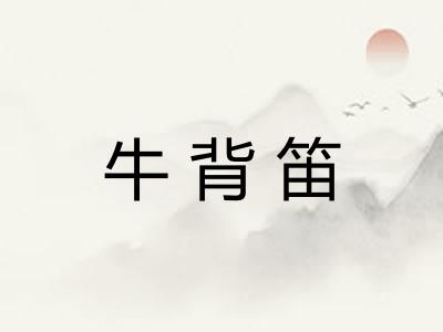 牛背笛