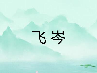 飞岑