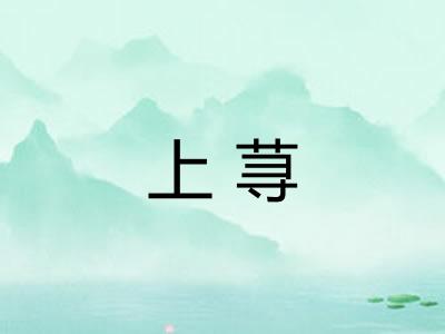 上荨