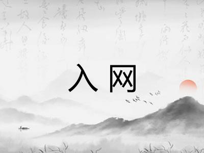 入网