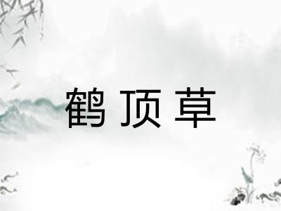 鹤顶草 鹤顶草