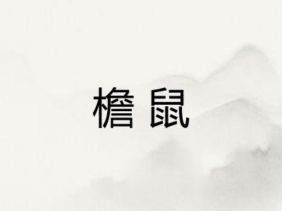 檐鼠