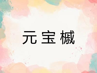 元宝槭