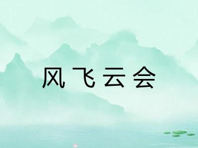 风飞云会
