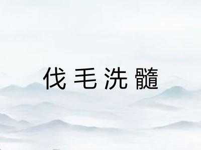 伐毛洗髓