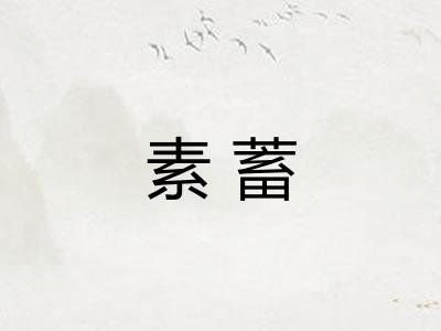 素蓄 素蓄