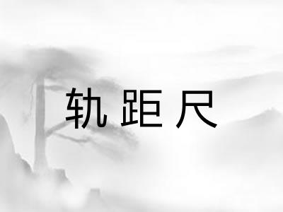 轨距尺