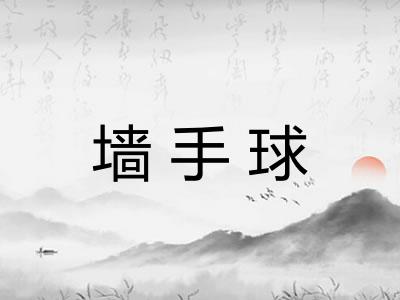 墙手球