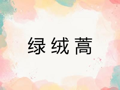 绿绒蒿
