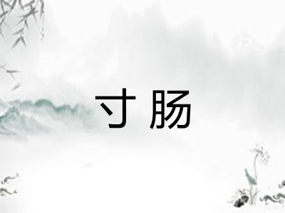 寸肠