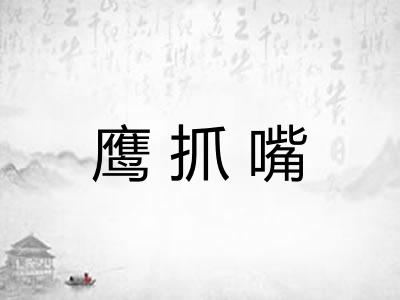 鹰抓嘴