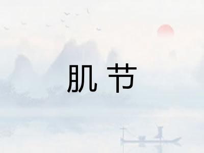 肌节
