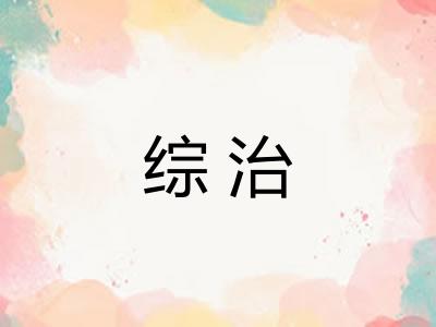 综治