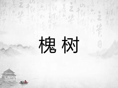 槐树