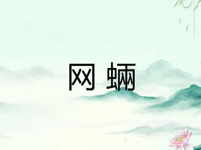 网蜽