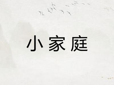 小家庭