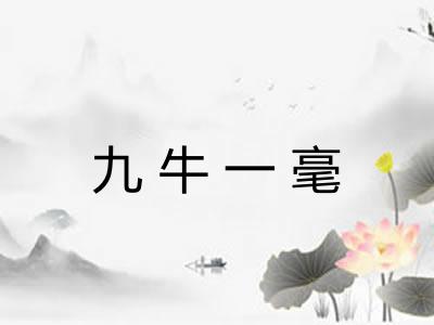 九牛一毫
