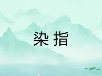 染指